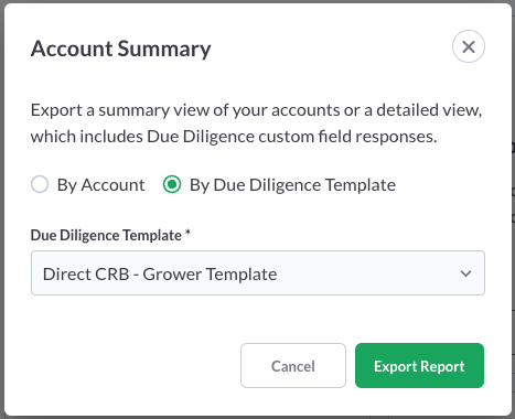 Account Summary DD Template Report